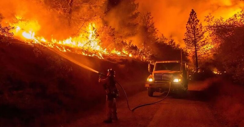 12 νεκροί, ανάμεσά τους παιδί 8 ετών, σε δασικές πυρκαγιές στην αλγερία