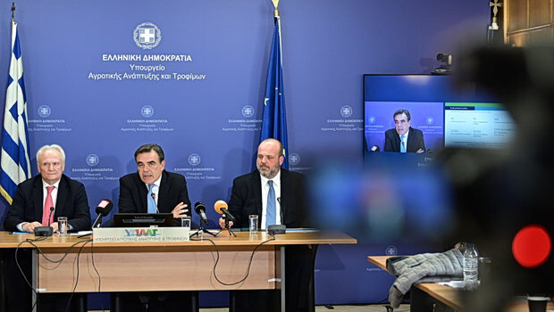 Τα μέτρα στήριξης για τον αφθώδη πυρετό: αποζημιώσεις, ενισχύσεις και κρίσιμες αποφάσεις για κτηνοτρόφους και 