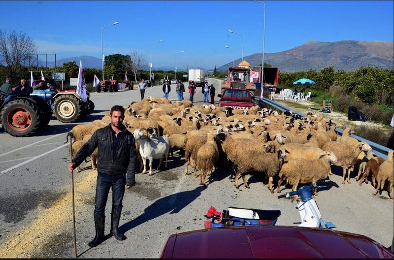 Η ε.ε. επεμβαίνει στην αποτυχημένη αντιμετώπιση της ευλογιάς των αιγοπροβάτων από το υπουργείο αγροτικής ανάπτ