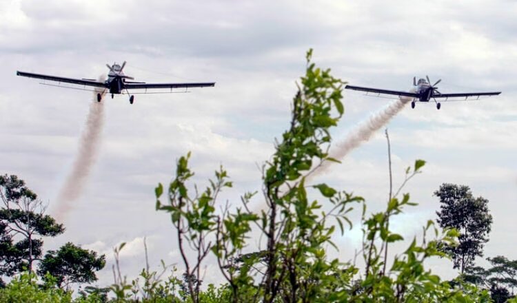 Αεροψεκασμούς με γλυφοσάτη ξεκινά η ακροδεξιά κυβέρνηση της κολομβίας