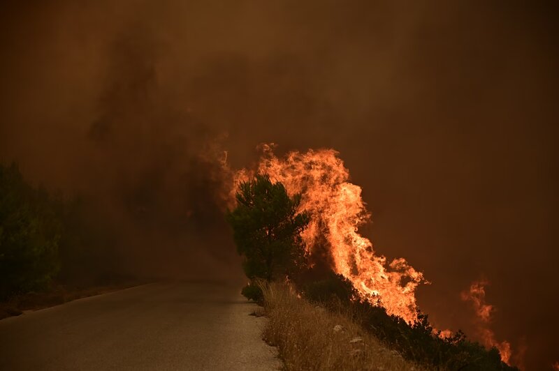 Η φωτιά στη βοιωτία σάρωσε έως και 50.000 στρέμματα - «ασύλληπτη  όλεθρος» λέει πυρομετεωρολόγος