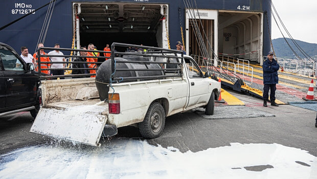 Αφθώδης πυρετός: προειδοποιήσεις για συμμόρφωση, νέες αποζημιώσεις και ασάφεια για τα τυριά και τον εμβολιασμό
