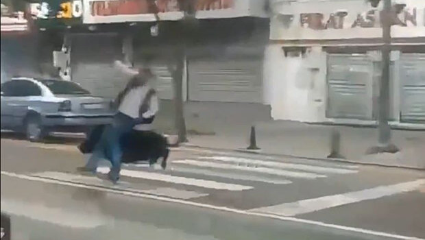 Αγριογούρουνο έτρεχε σε πολυσύχναστο δρόμο στην τουρκία - τραυμάτισε τρία άτομα