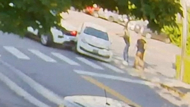 H ice αναστέλλει τους ελέγχους στον δρόμο μετά από ακόμα θανατηφόρο περιστατικό στο μέιν