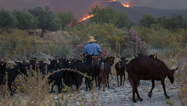 Για τρίτη μέρα παλεύουν με τη φωτιά οι πυροσβέστες στην ισπανία - 66.000 στρέμματα γης έχουν γίνει παρανάλωμα