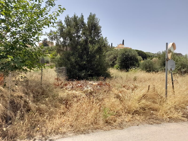 Χιλιάδες καταγγελίες για ακαθάριστα οικόπεδα – οι παραβάτες δεν πληρώνουν μόνο το πρόστιμο
