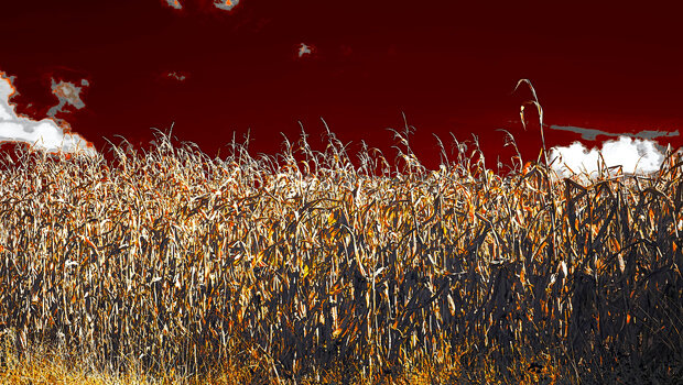 «κλιματοπληθωρισμός»: η κλιματική αλλαγή έχει ήδη αρχίσει να επηρεάζει το κόστος διαβίωσης