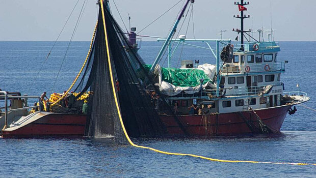 Κλιματική αλλαγή: πώς απειλεί την οικονομική ραχοκοκαλιά του ειρηνικού