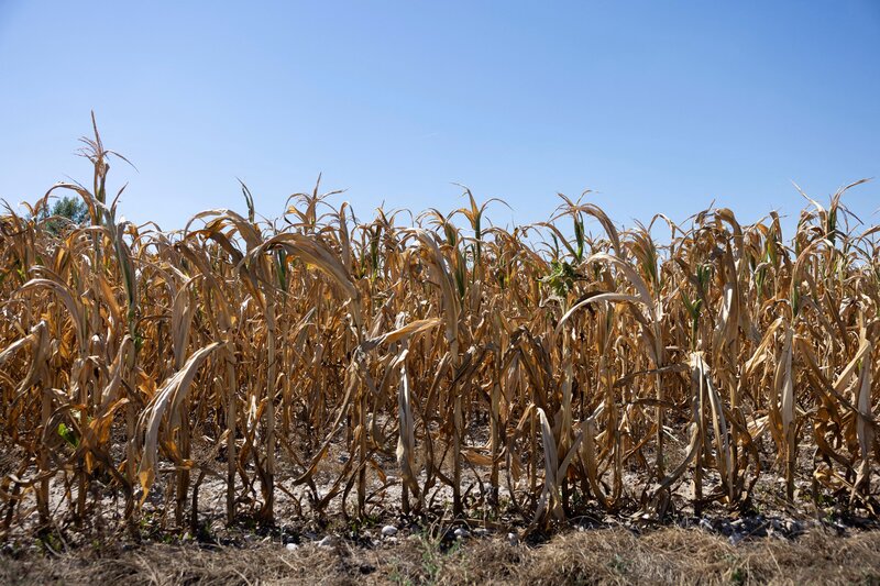 Κλιματοπληθωρισμός: τι είναι το climateflation και γιατί μας αφορά άμεσα