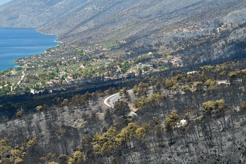 Meteo: το 42% των δασών της αττικής κάηκε τα τελευταία δέκα χρόνια - «στάχτη» 512.000 στρέμματα