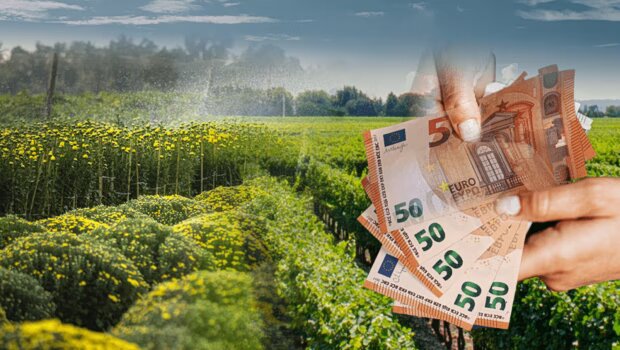 Ποιες αγροτικές πληρωμές αναμένονται – το χρονοδιάγραμμα