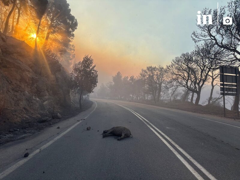 Πόρτο γερμενό: δυνάμωσε η πυρκαγιά στη βενίζα - δύο τα μέτωπα στην βοιωτία - εκκενώσεις οικισμών στην κεφαλονι