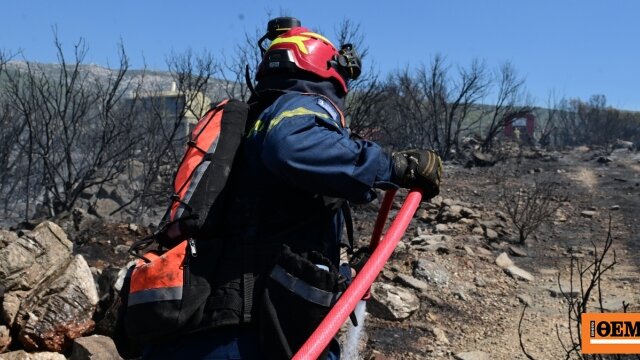 Φωτιά σε χαμηλή βλάστηση στην άντισσα λέσβου