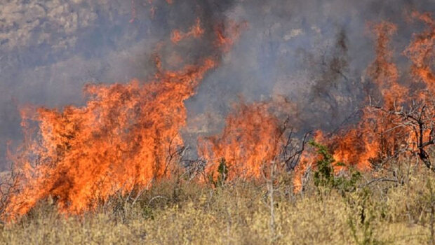 Φωτιά στη σκάλα ερεσσού στη μυτιλήνη - σηκώθηκαν 4 εναέρια μέσα