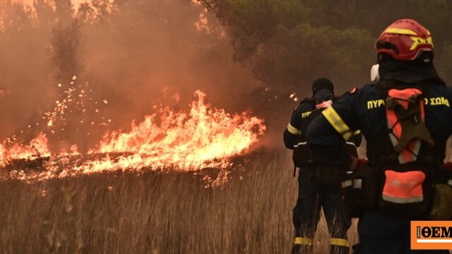 Φωτιά στο λειψύδριο του κιλκίς, ήχησε το 112