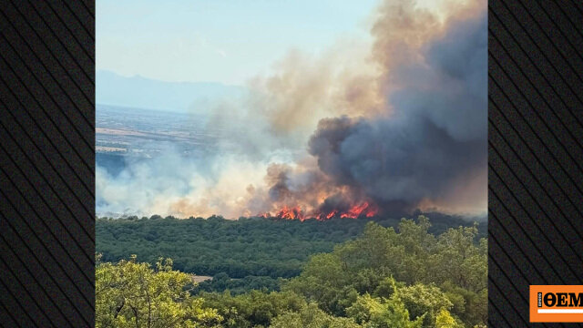 Φωτιά στο πετροχώρι ξάνθης: ενισχύθηκαν οι δυνάμεις της πυροσβεστικής, επιχειρούν 9 εναέρια, δείτε βίντεο