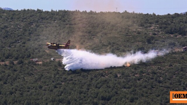 Φωτιά τώρα σε αγροτοδασική έκταση στην πελασγία φθιώτιδας, 5 εναέρια