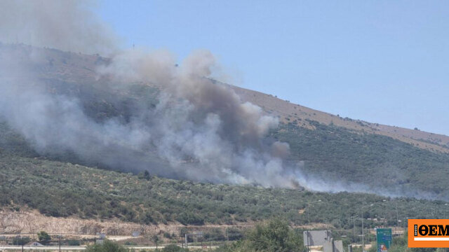 Φωτιά τώρα σε αγροτοδασική έκταση στον στάνο αμφιλοχίας