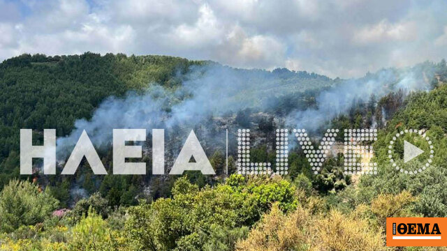 Φωτιά τώρα σε δασική έκταση στο λέπρεο ηλείας, επιχειρούν 52 πυροσβέστες και ένα αεροσκάφος