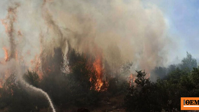 Φωτιά τώρα στην ελάτεια φθιώτιδας, ήχησε το 112 για ετοιμότητα
