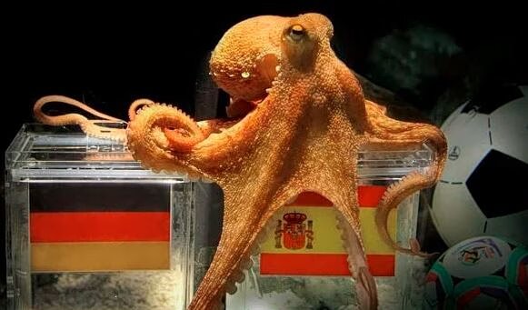 Μουντιάλ: από το χταπόδι πολ στην τεχνητή νοημοσύνη (pic)
