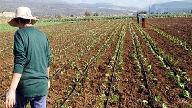 Η πενταετία που «εξαϋλώθηκε» το αγροτικό εισόδημα
