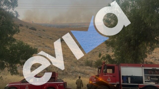 Υπό έλεγχο η φωτιά σε χαμηλή βλάστηση έξω από τη χαλκίδα, δείτε βίντεο