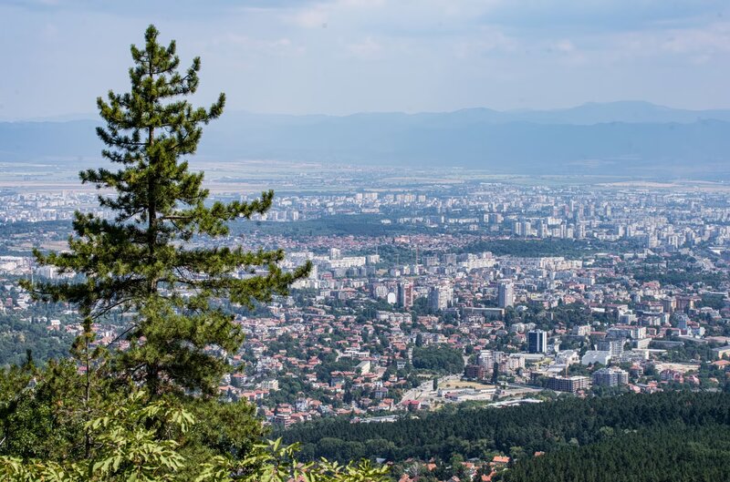 Μπορεί η σκιά των δέντρων να νικήσει τους καύσωνες που μαστίζουν την ευρώπη;