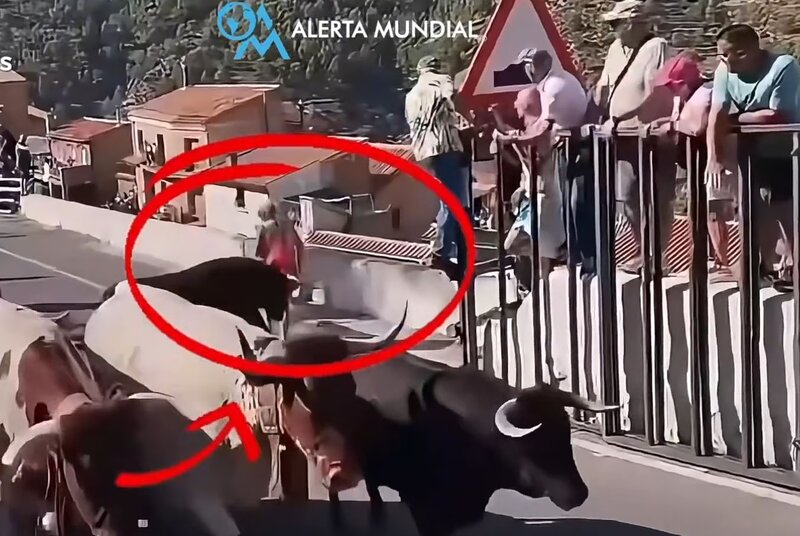 Τραγωδία: νεκρή 64χρονη από επίθεση ταύρου κατά τη διάρκεια ταυροδρομίας - συγκλονισμόςαριστικό βίντεο