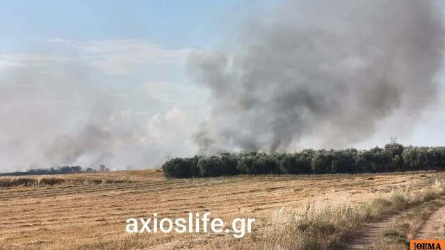 Οριοθετήθηκε η φωτιά στον βαθύλακκο θεσσαλονίκης