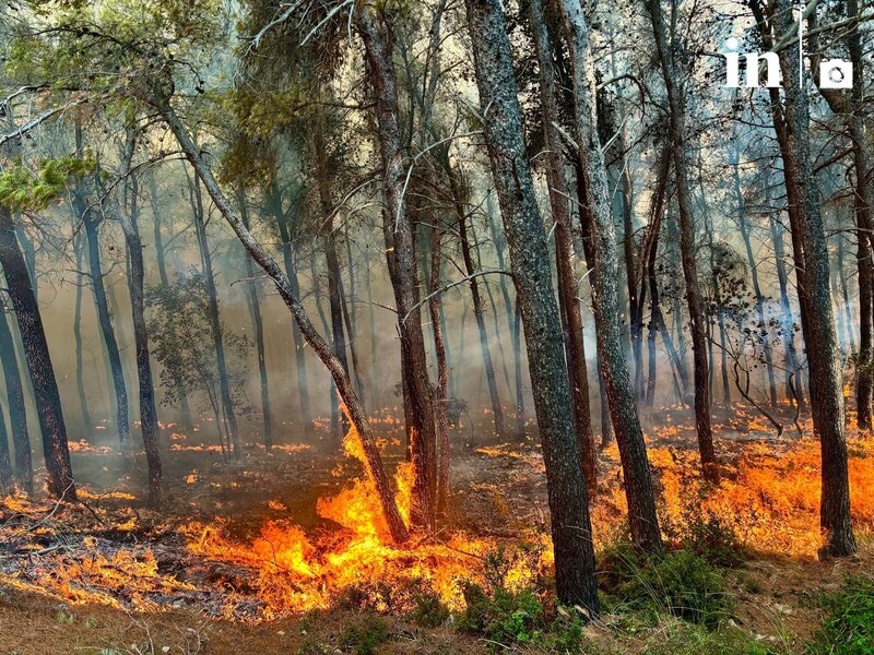 Στις φλόγες το όρος πατέρας, κάηκαν σπίτια στο κρύο πηγάδι, η πυρκαγιά στα περίχωρα των μεγάρων - απειλούνται 