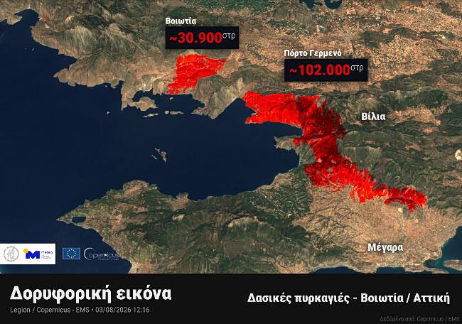 Αττικοβοιωτία: περισσότερα από 130.000 στρέμματα καταστράφηκαν από τις πυρκαγιές