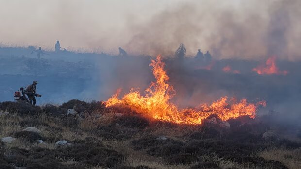 Πυρκαγιές στην κατεχόμενη δυτική όχθη - εκκενώθηκαν ισραηλινοί οικισμοί